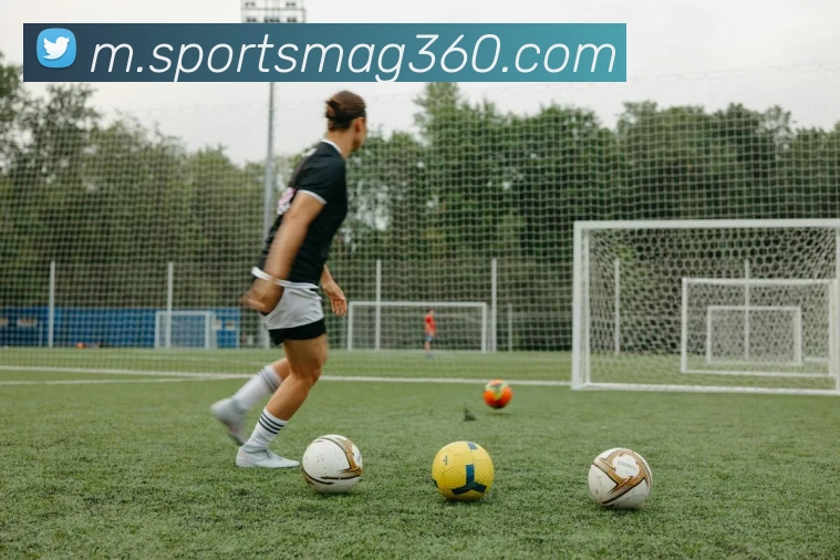 体育下注平台生态图